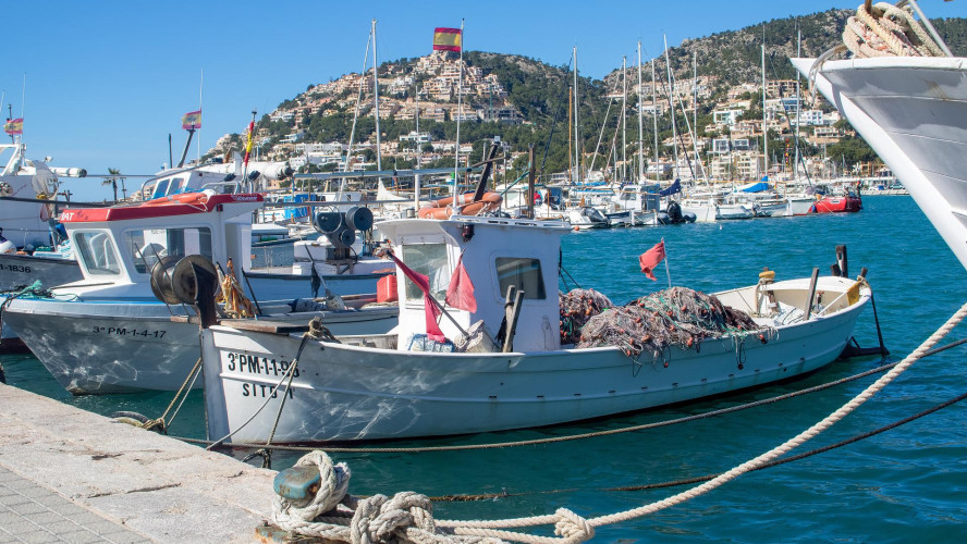 Wohnen in Mallorcas schönsten Hafenviertel